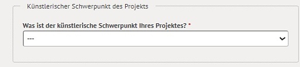 Online-Antrag - Auswahl des künstlerischen Schwerpunktes
