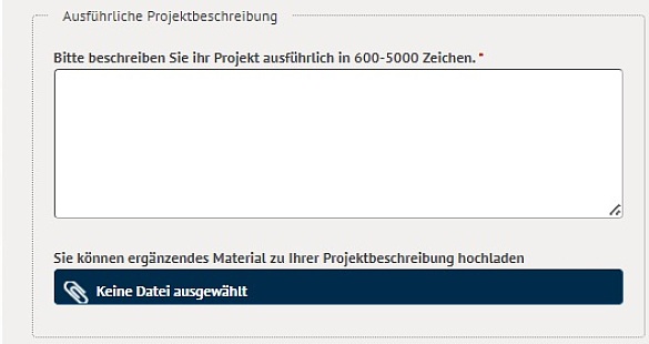 Online-Antrag mit Feldern zur ausführlichen Projektbeschreibung