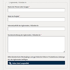 Online-Antrag mit Feldern zu Detailangaben der Künstler:in